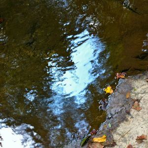 Meet your Posher, Ellen